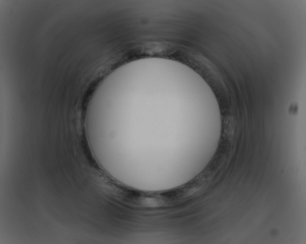 X0000096660510200802051222