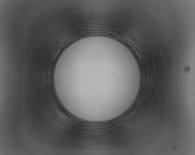 X0000096660512200802051222