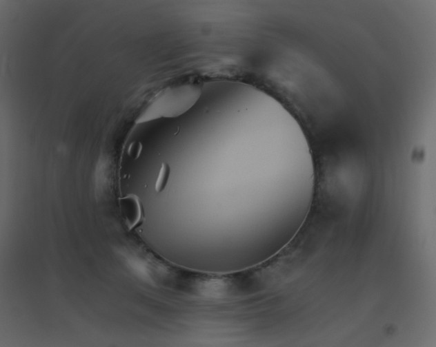 X0000096660513200802051222