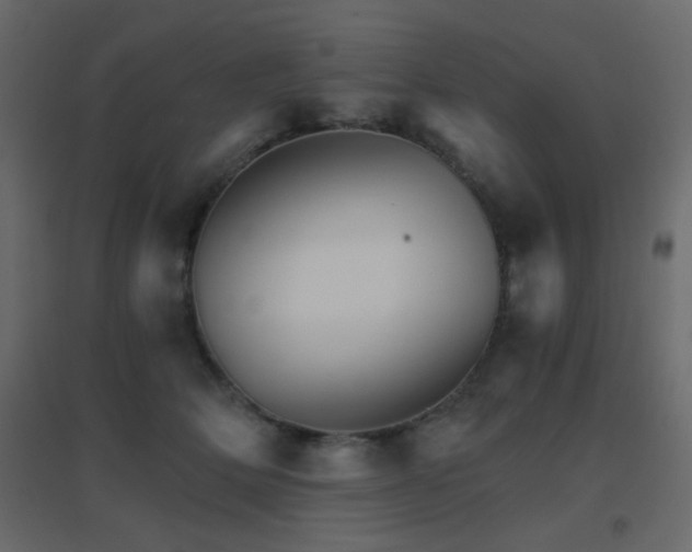 X0000096660514200802051222