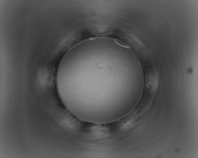 X0000096660515200802051222