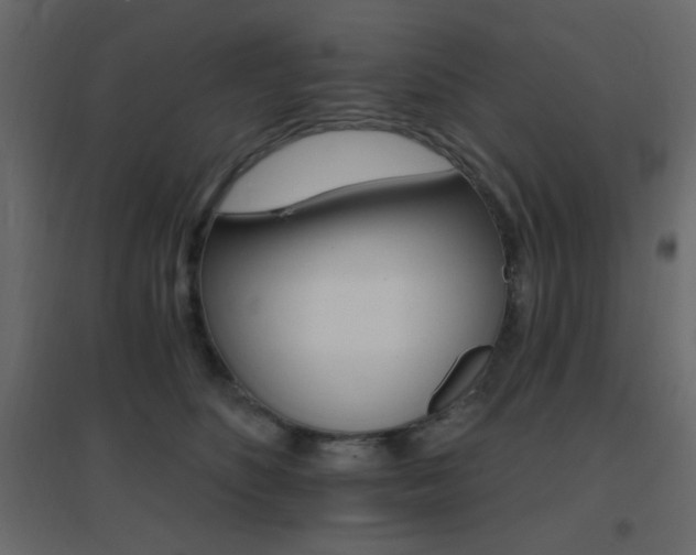 X0000096660516200802051222