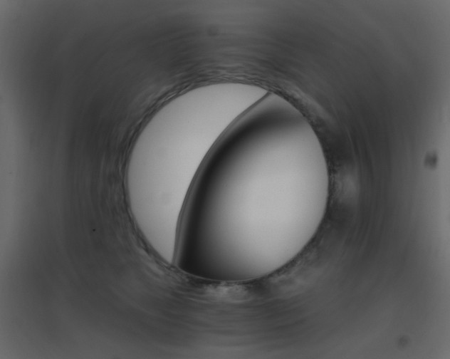 X0000096660517200802051222