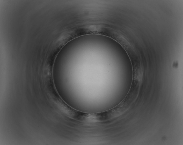 X0000096660518200802051222