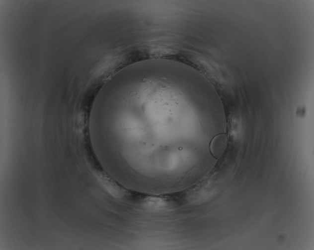 X0000096660519200802051222