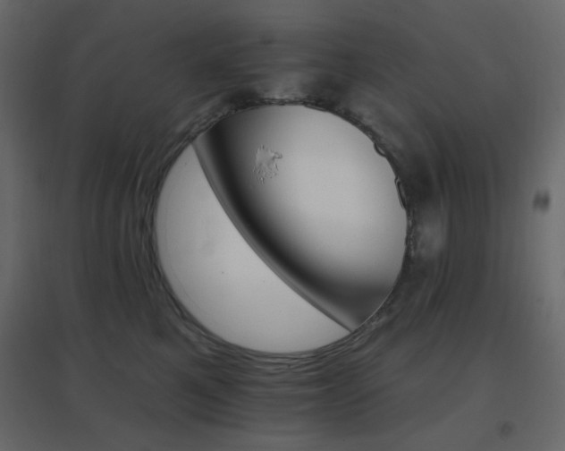 X0000096660521200802051222