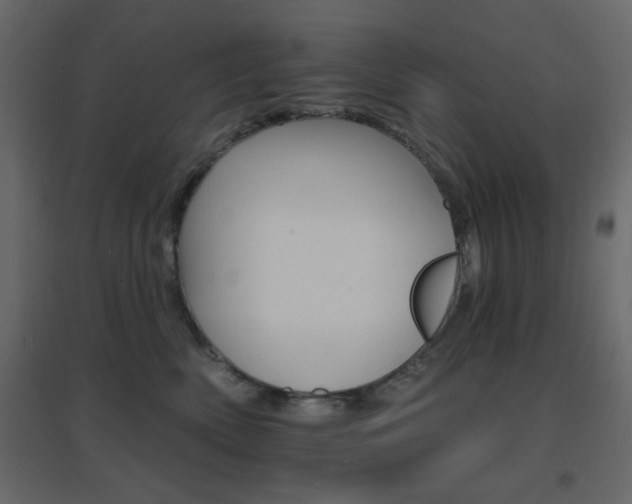 X0000096660522200802051222