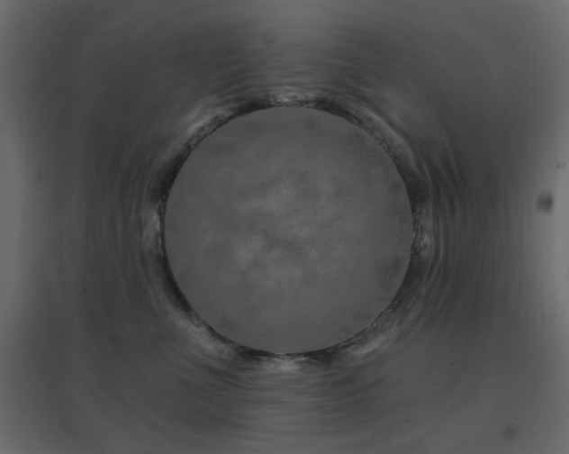 X0000096660523200802051222