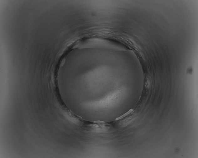 X0000096660524200802051222