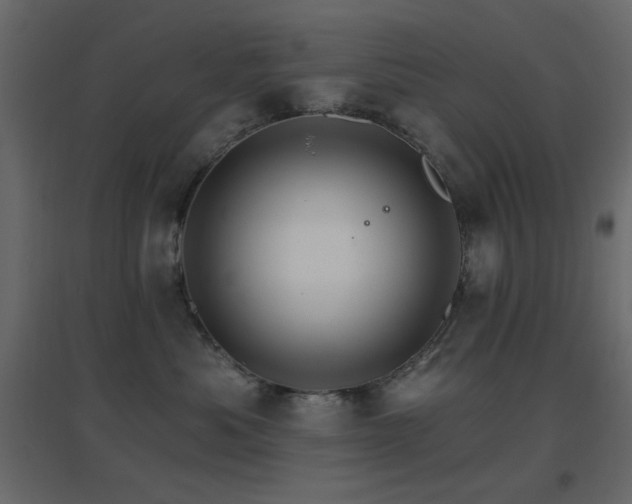 X0000096660525200802051222