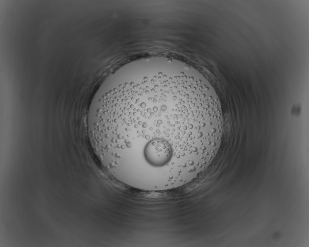 X0000096660527200802051222