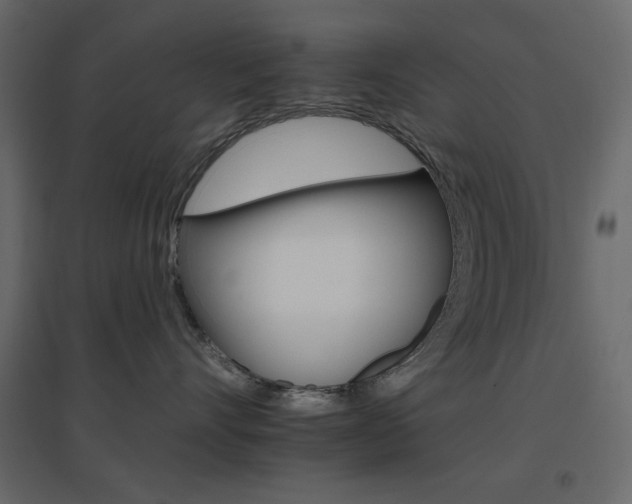 X0000096660528200802051222