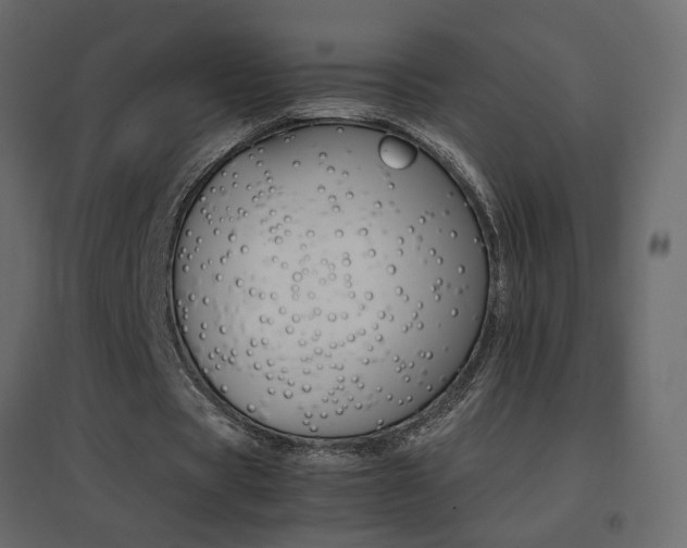 X0000096660529200802051221