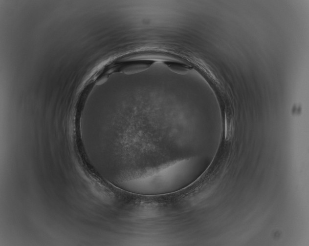X0000096660531200802051221