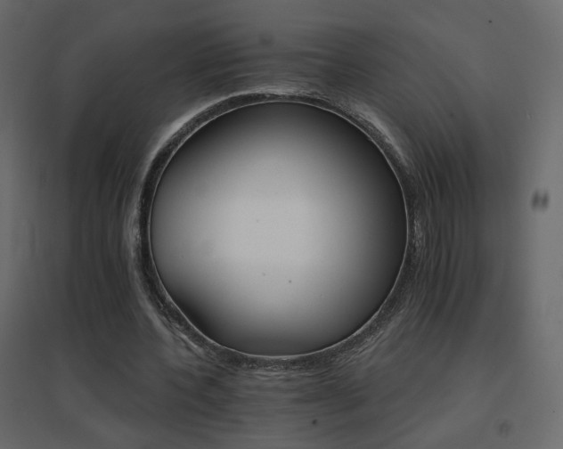 X0000096660532200802051221