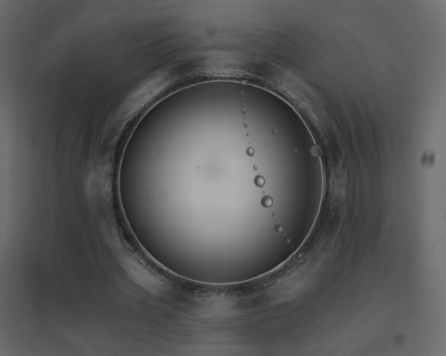 X0000096660533200802051221