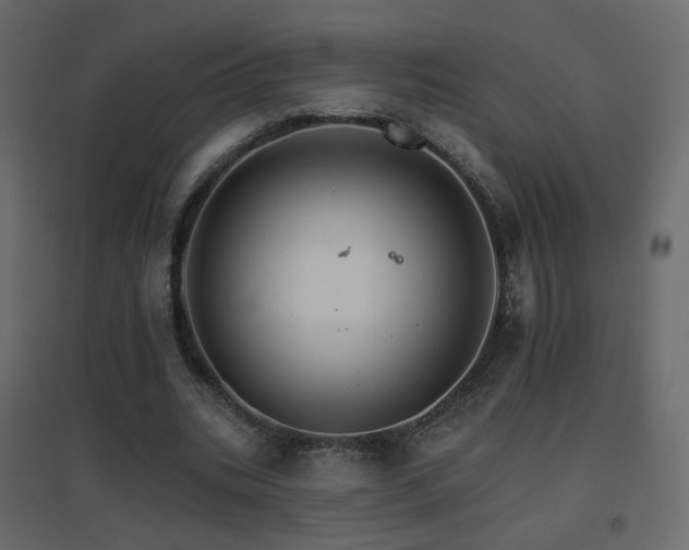 X0000096660535200802051221