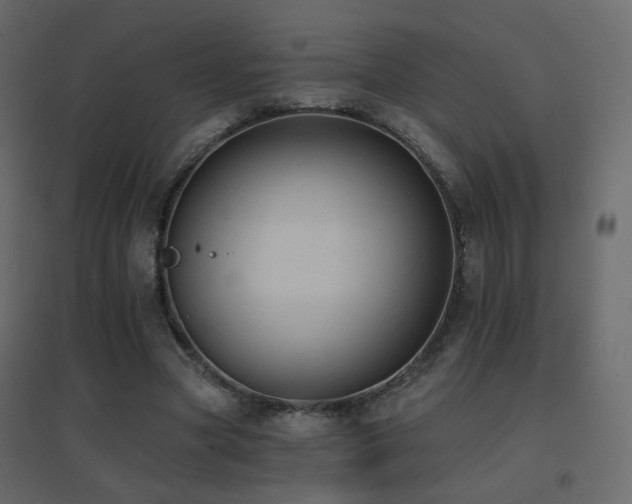 X0000096660537200802051221