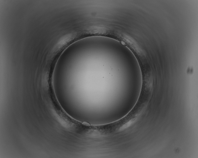 X0000096660538200802051221