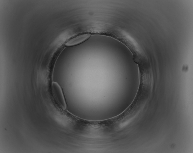 X0000096660540200802051221