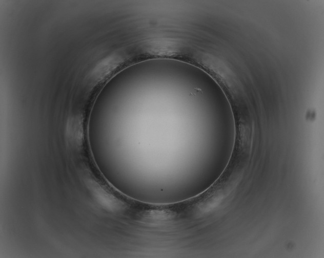 X0000096660541200802051221