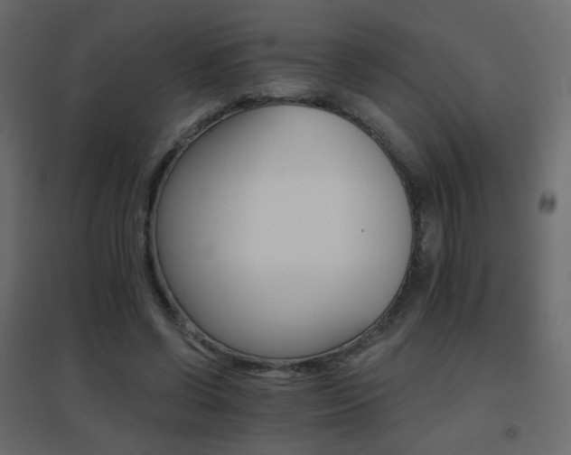 X0000096660542200802051221