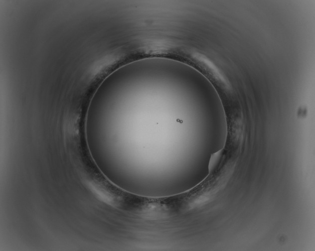 X0000096660543200802051221