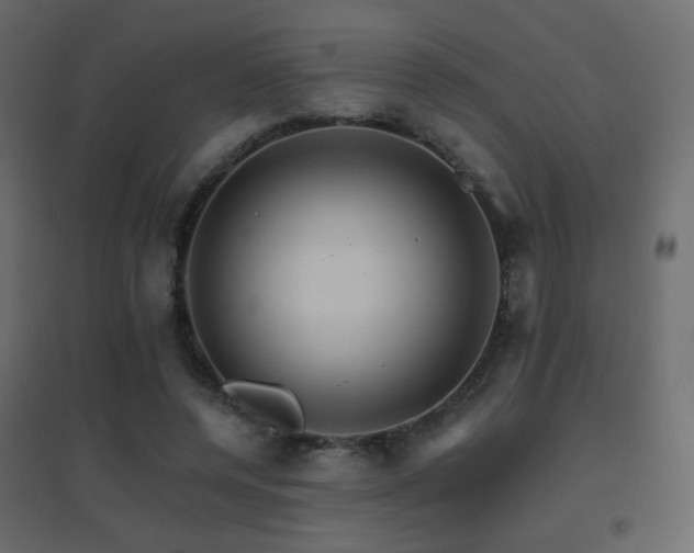 X0000096660544200802051221