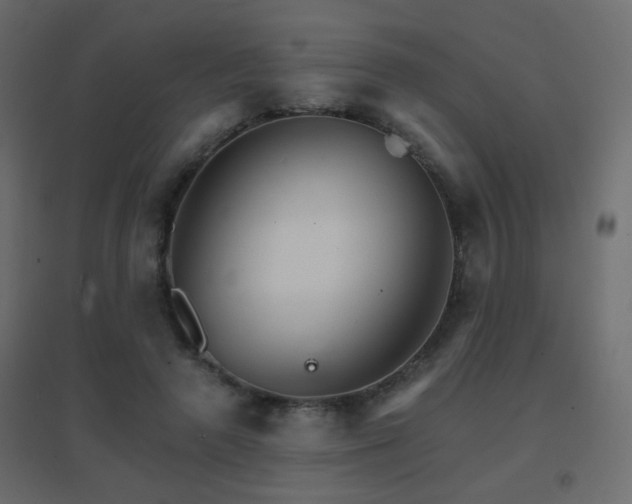X0000096660546200802051221