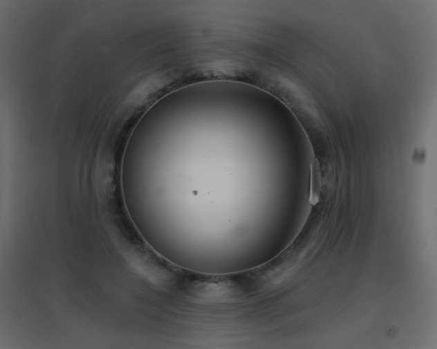 X0000096660548200802051221