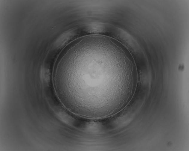 X0000096660549200802051221