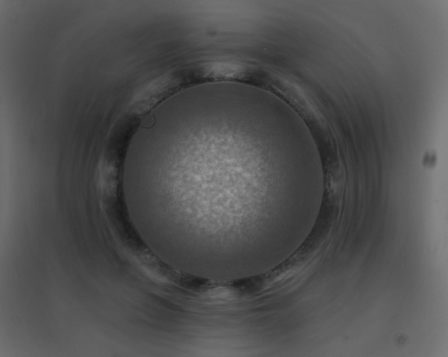 X0000096660551200802051221