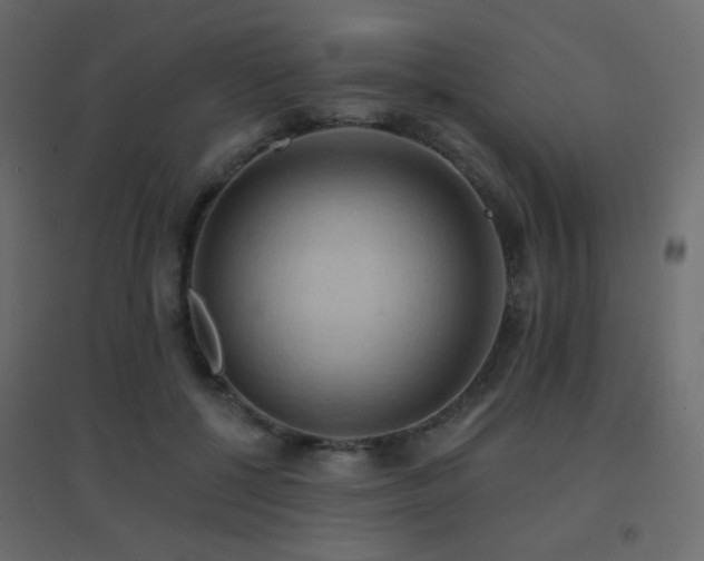 X0000096660552200802051221