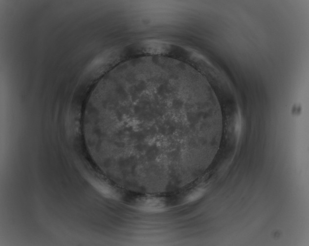 X0000096660553200802051221