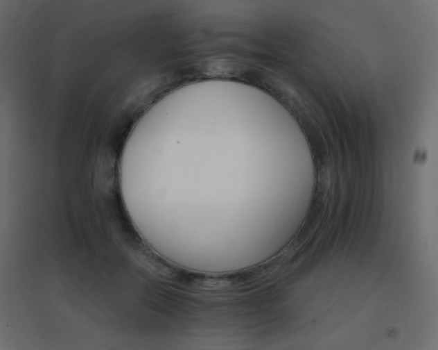 X0000096660554200802051221
