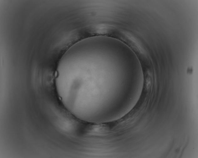 X0000096660555200802051221