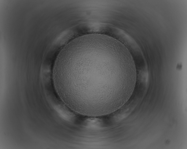 X0000096660557200802051221
