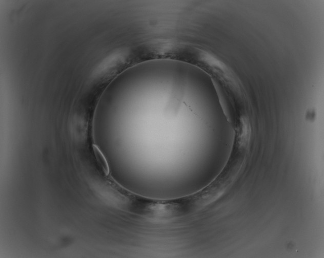 X0000096660558200802051221