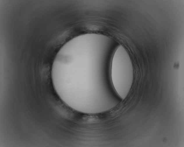 X0000096660559200802051221