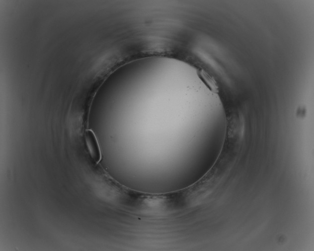 X0000096660560200802051221