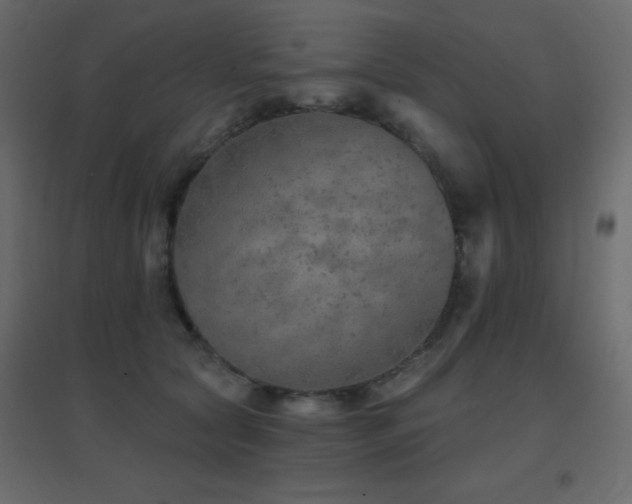 X0000096660561200802051221