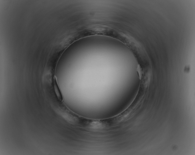 X0000096660562200802051221