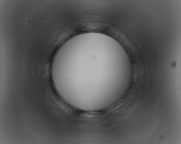 X0000096660563200802051221