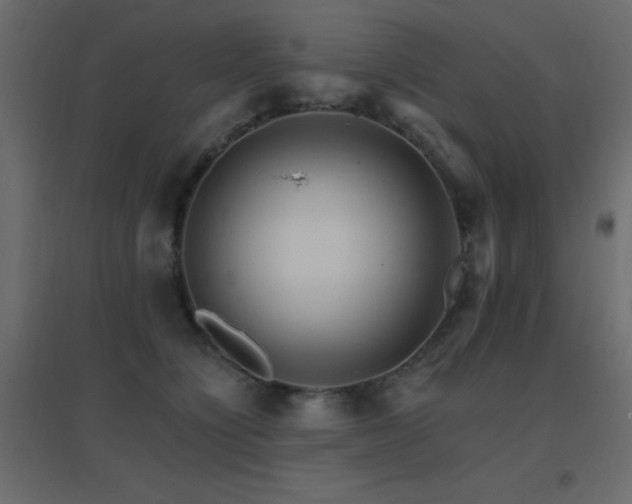 X0000096660564200802051221