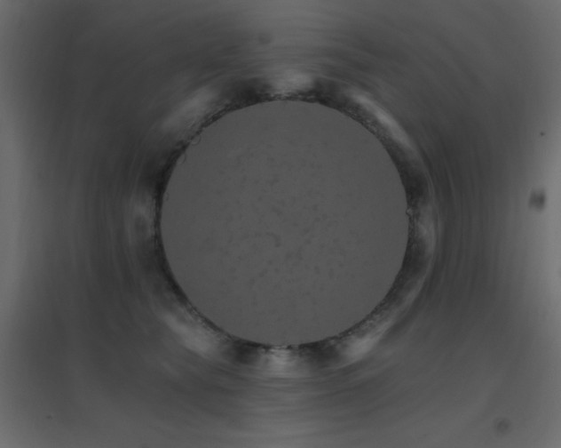 X0000096660565200802051221