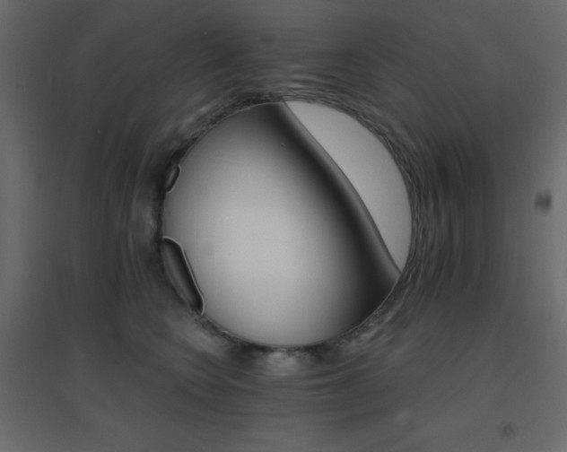 X0000096660566200802051221