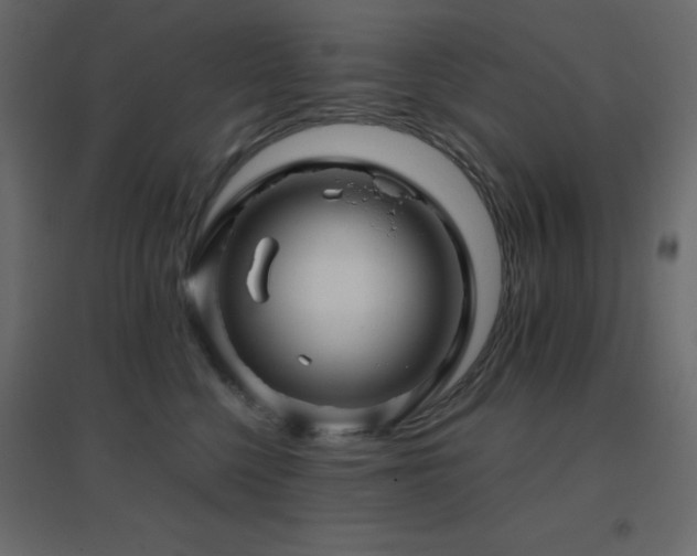 X0000096660568200802051222