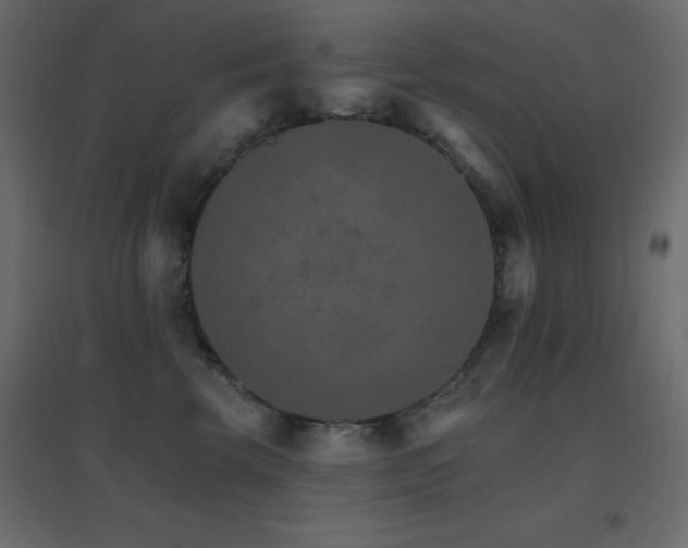 X0000096660569200802051222