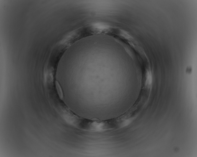 X0000096660570200802051222