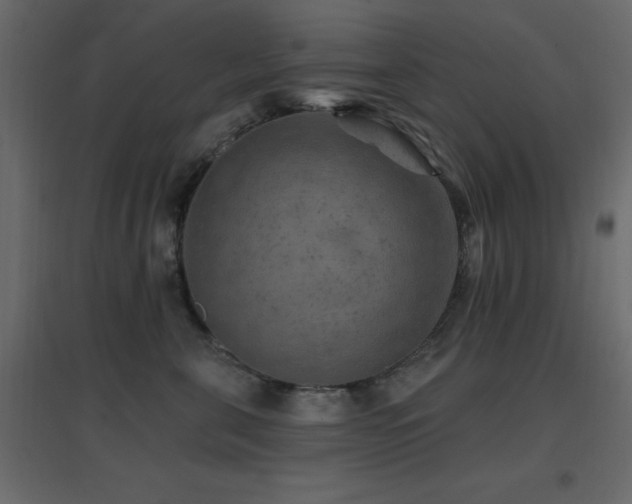 X0000096660571200802051222